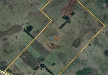 175 Ha Mixtas - Abasto - La Plata