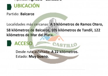 315 ha Mixto - Balcarce