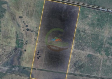 150 Ha Agricolas - Marcos Juarez