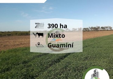400 ha mixtas - guamini