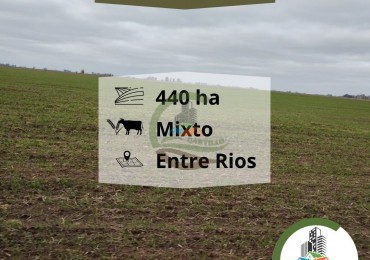 439 ha Mixta - Entre Rios