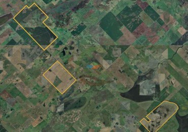 639 Ha Mixto - Urdampilleta - Bolivar