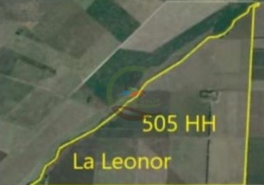 505 ha Agricolas - San Cayetano